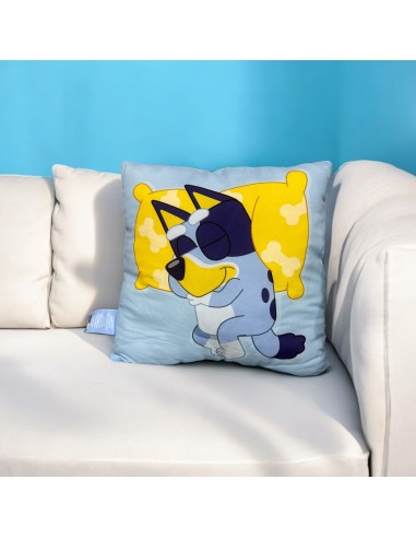Cojín de Bluey